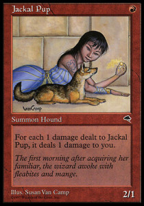 Magic the Gathering Tempest Card Image Karte Jackal Pup